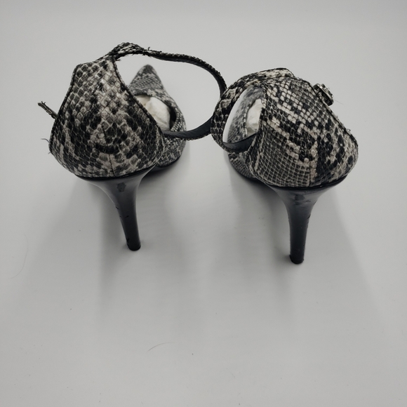 Clinton Stuart - Picture 4 of 10